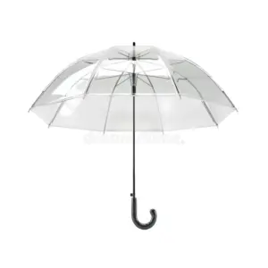 Transparent Umbrella